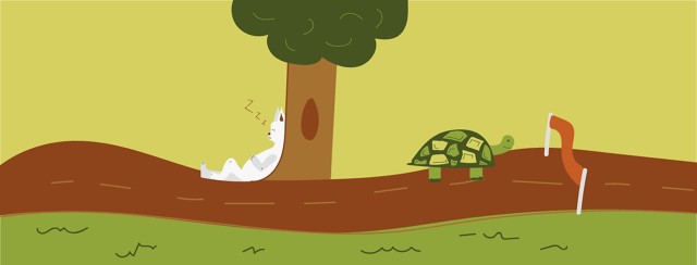 The Tortoise and the Race image