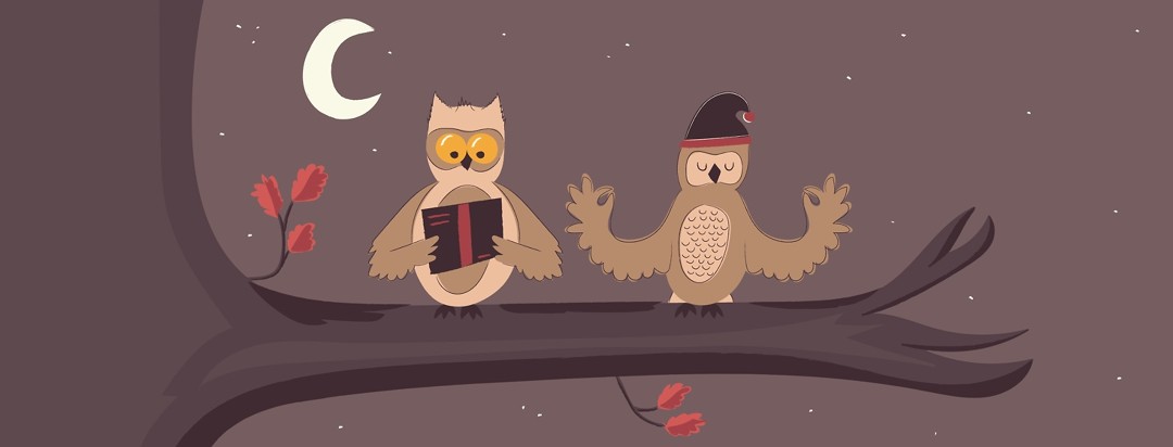 Two owls sitting on a branch, one reading and one meditating while wearing a night cap
