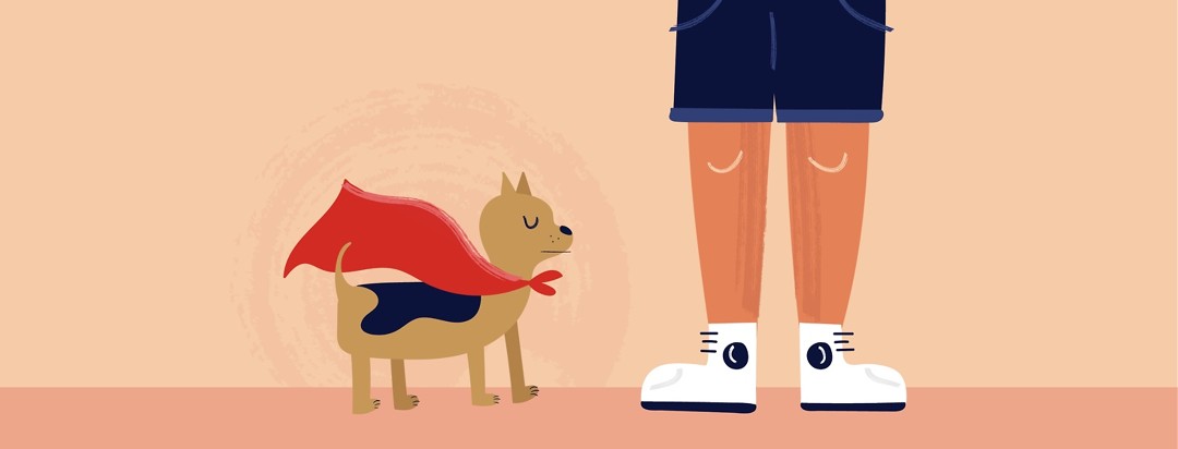 a dog in a superhero cape standing at the feet of its owner