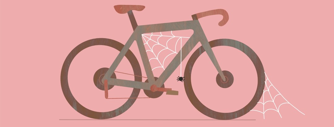 An unused bicycle collects cobwebs