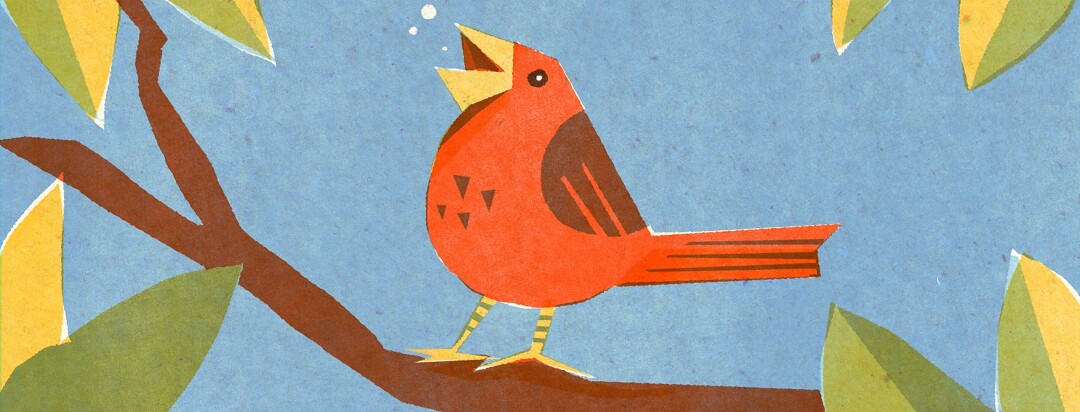 A red bird sits on a branch and sings